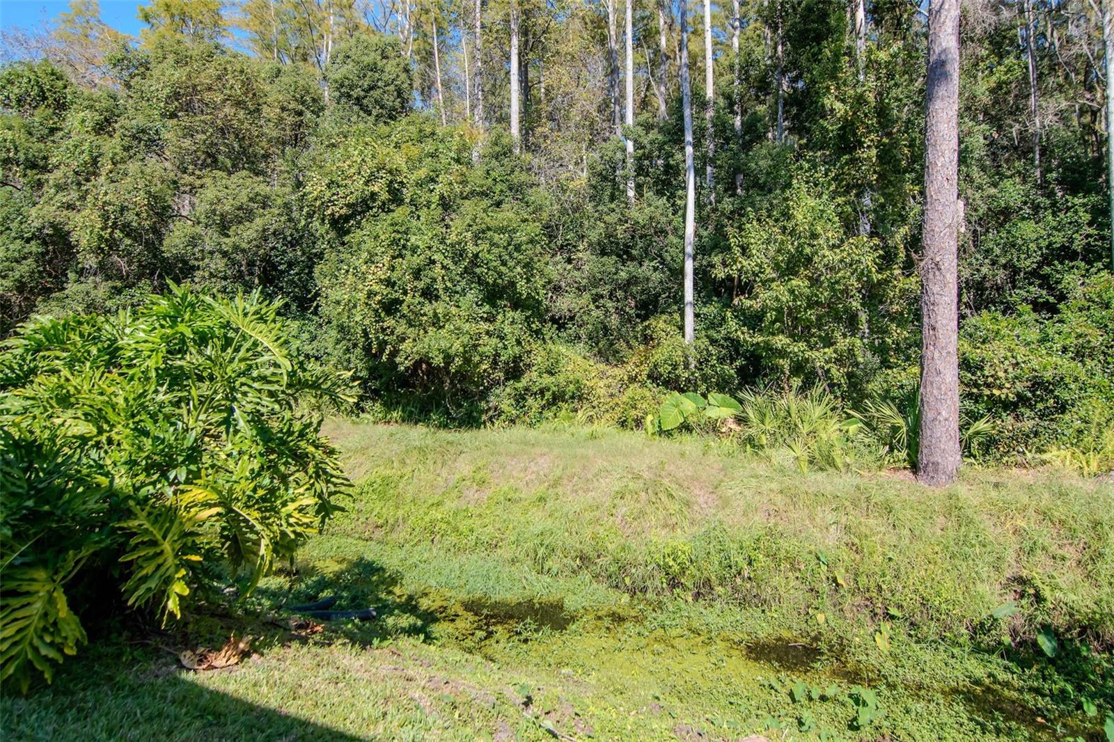 Image 36 of 41 For 4127 Brentwood Park Circle