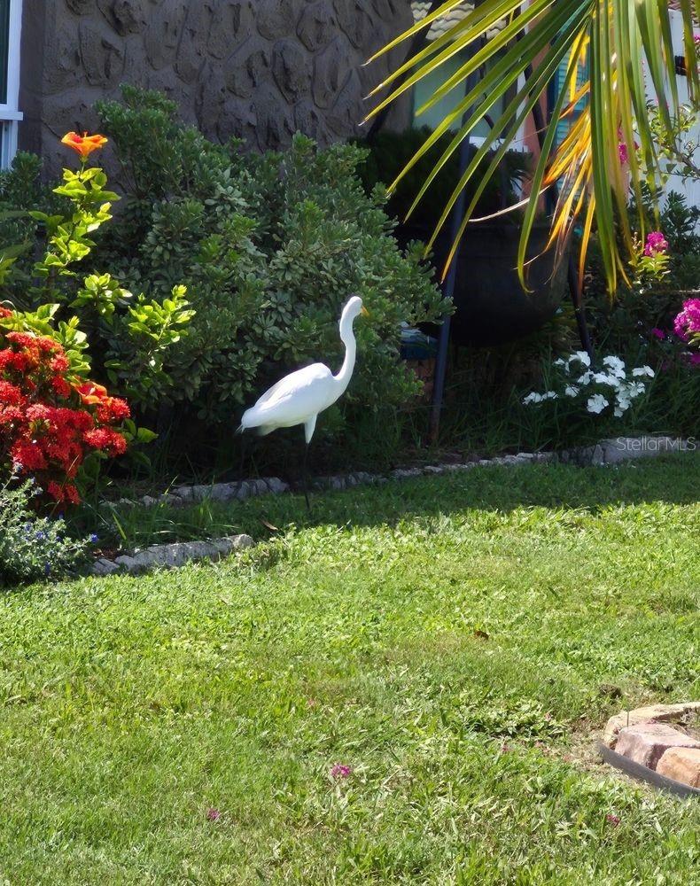 Image 51 of 57 For 4880 Shell Stream Boulevard