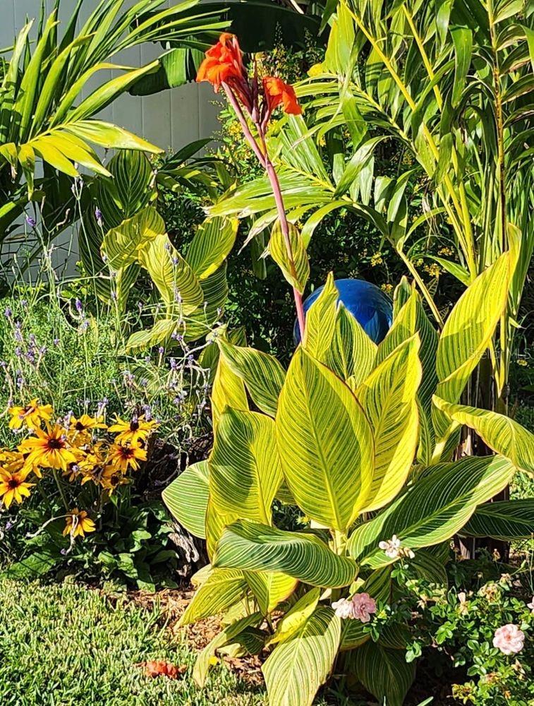 Image 52 of 57 For 4880 Shell Stream Boulevard