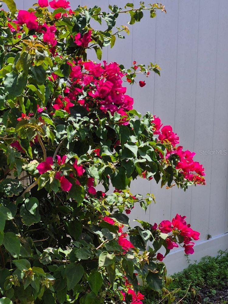 Image 54 of 57 For 4880 Shell Stream Boulevard