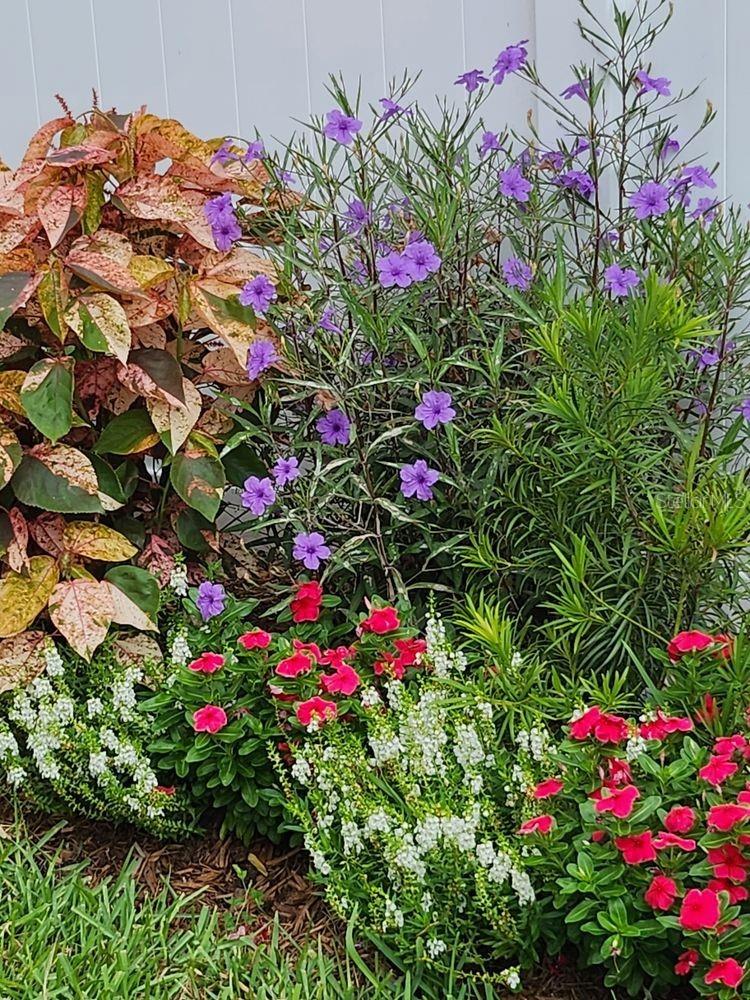 Image 55 of 57 For 4880 Shell Stream Boulevard