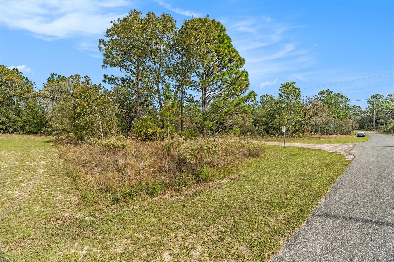 Image 4 of 13 For 1541 Riley Drive