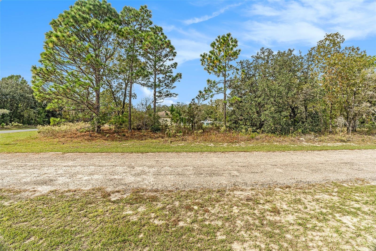 Image 5 of 13 For 1541 Riley Drive