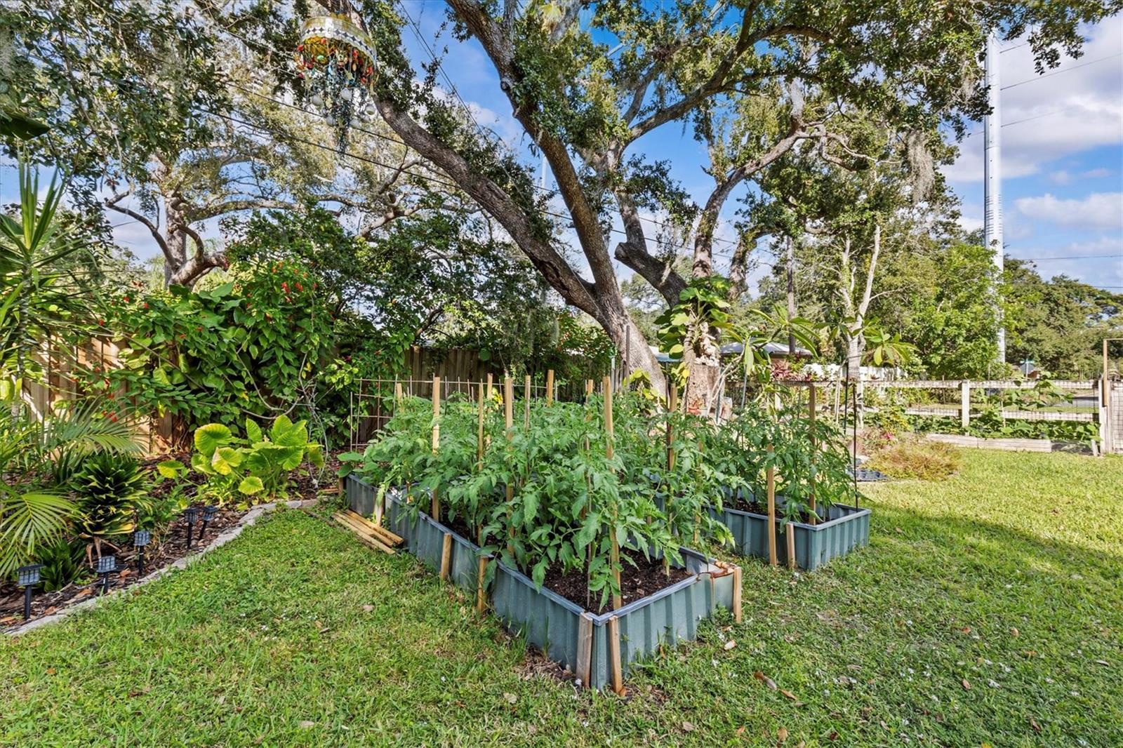 Image 12 of 78 For 606 New York Avenue