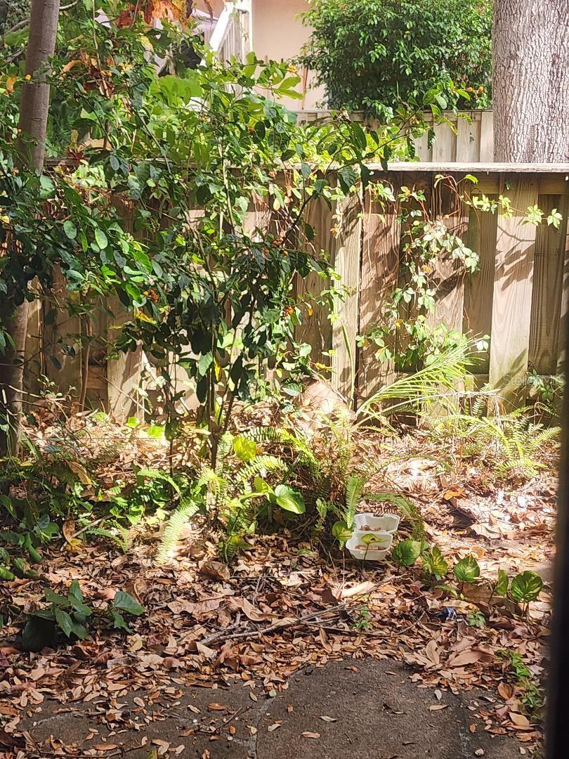 Image 5 of 11 For 1610 58th Avenue S 7