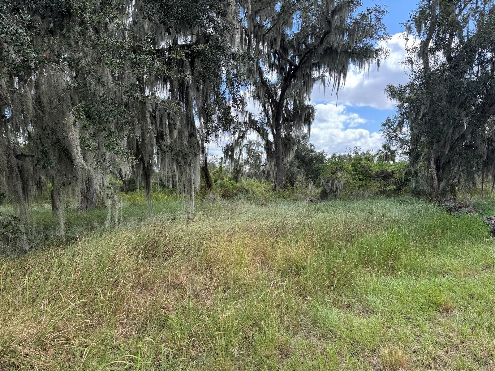 Image 4 of 10 For 3721 Porter Road