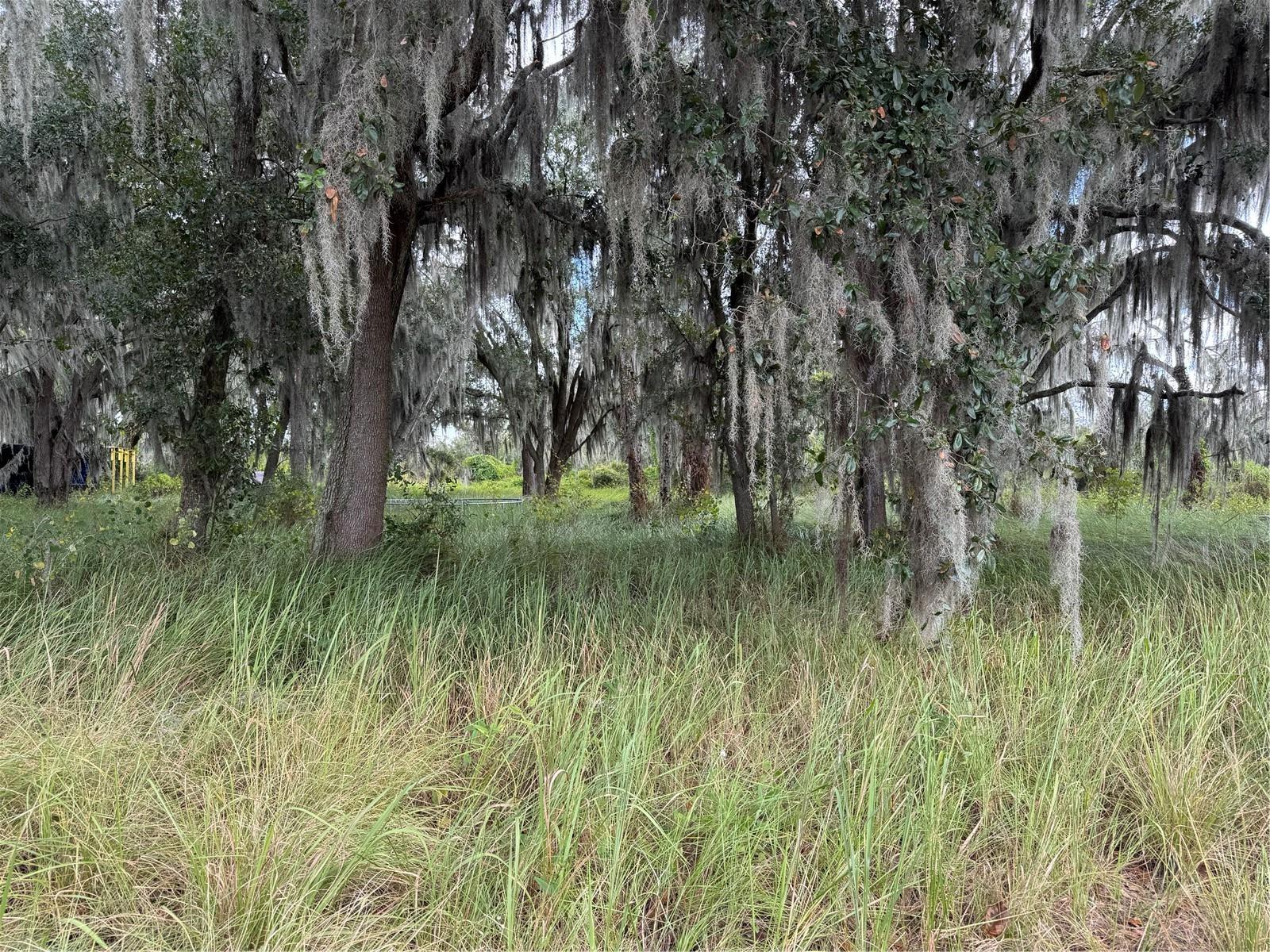 Image 5 of 10 For 3721 Porter Road