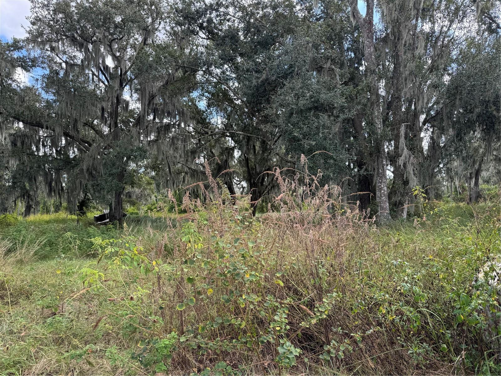 Image 9 of 10 For 3721 Porter Road