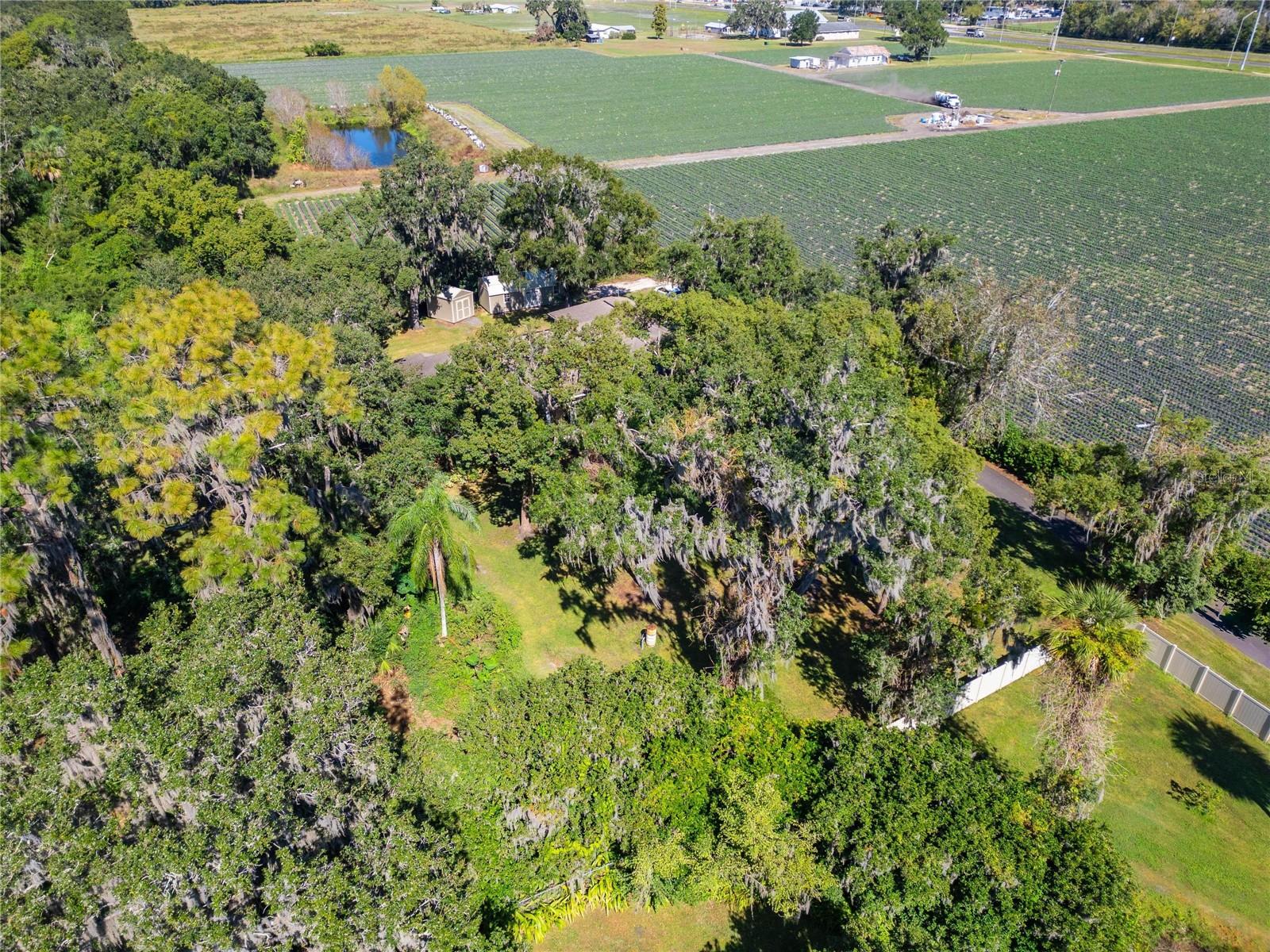 Image 82 of 99 For 332 Holloway Road