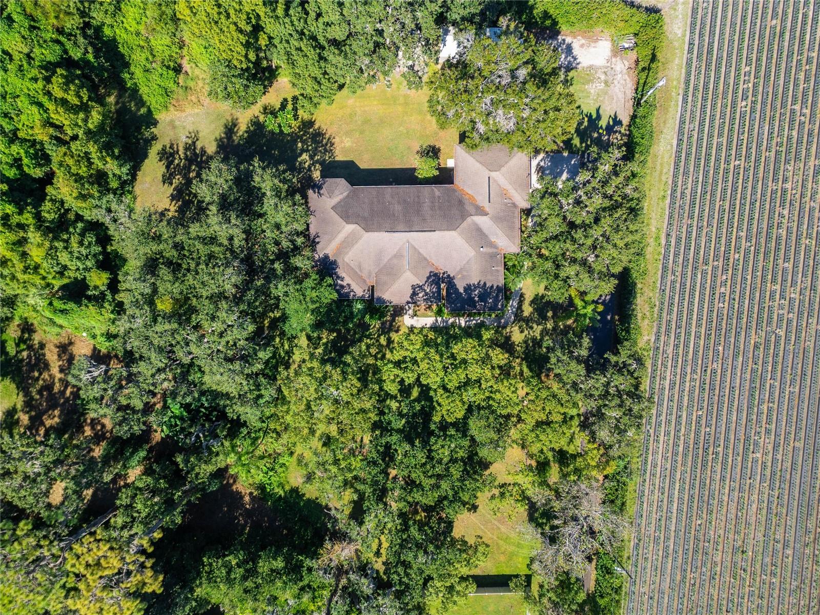 Image 98 of 99 For 332 Holloway Road