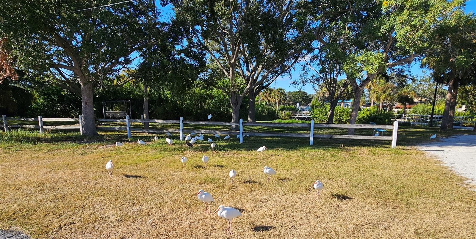 Image 40 of 43 For 2960 59th Street S 202