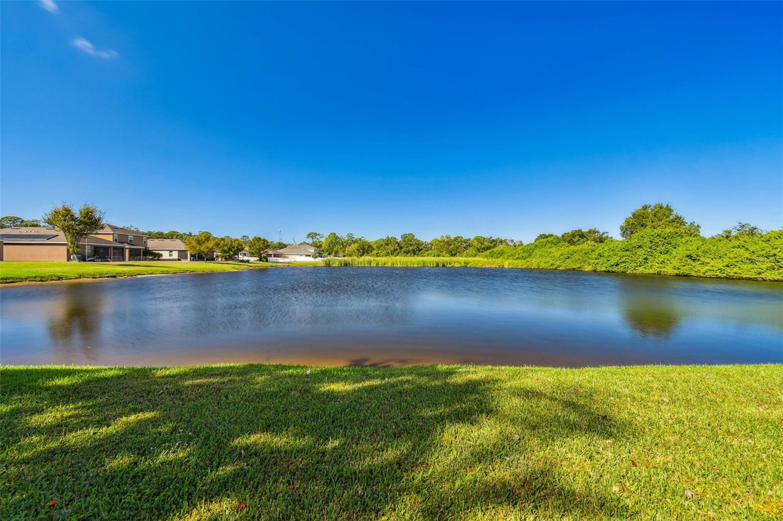 Image 44 of 47 For 1110 Lauren Manor Loop