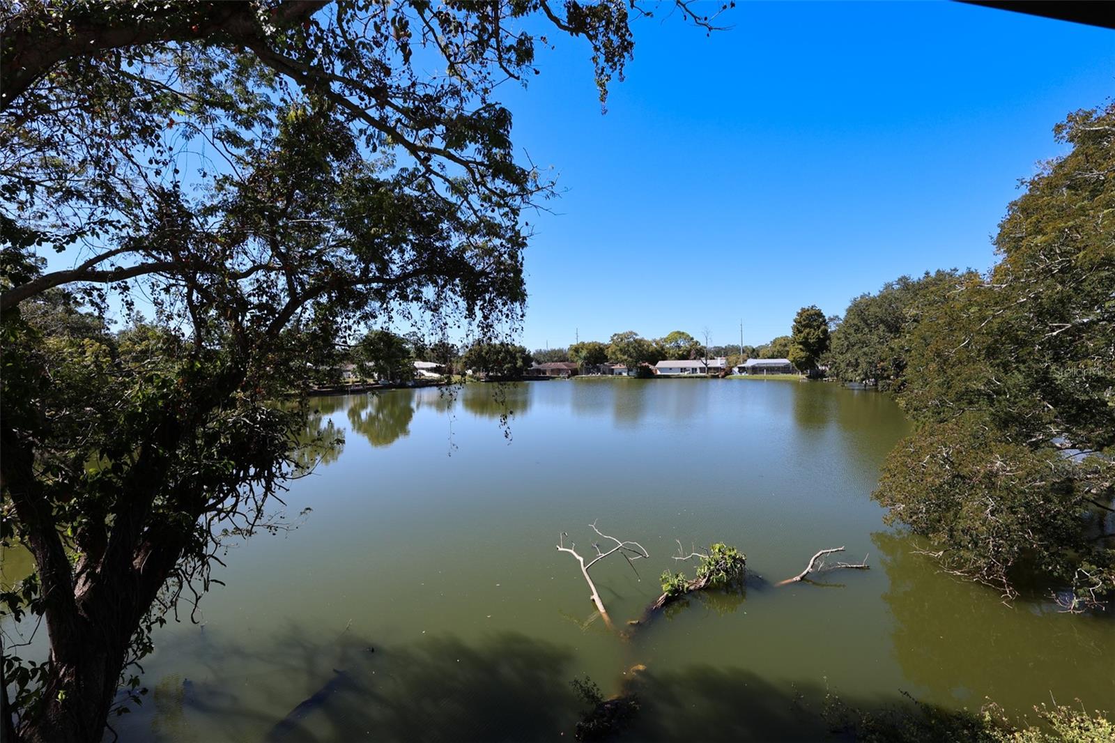 Image 18 of 18 For 1960 Union Street 34