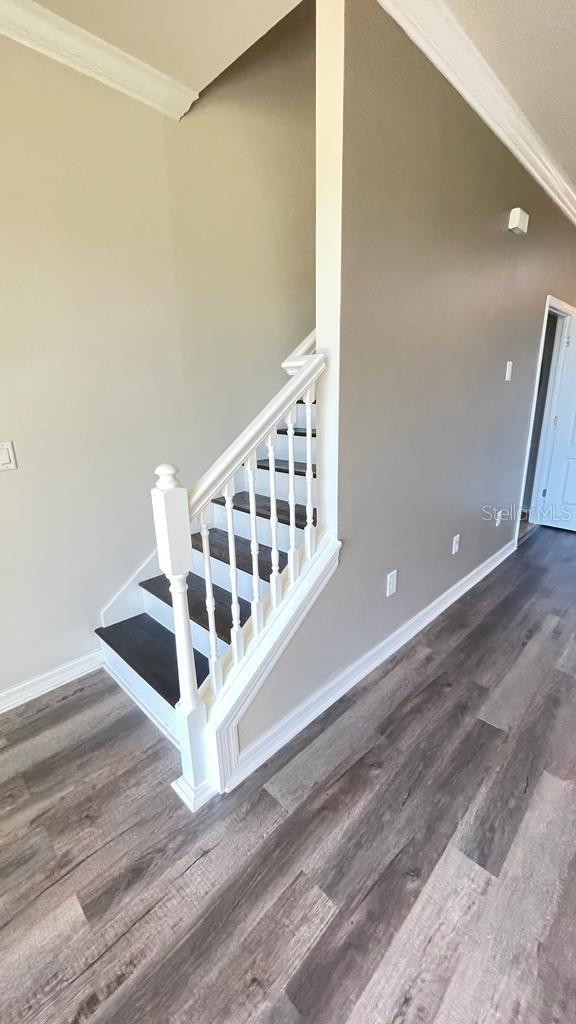 Image 12 of 27 For 10785 Verawood Drive