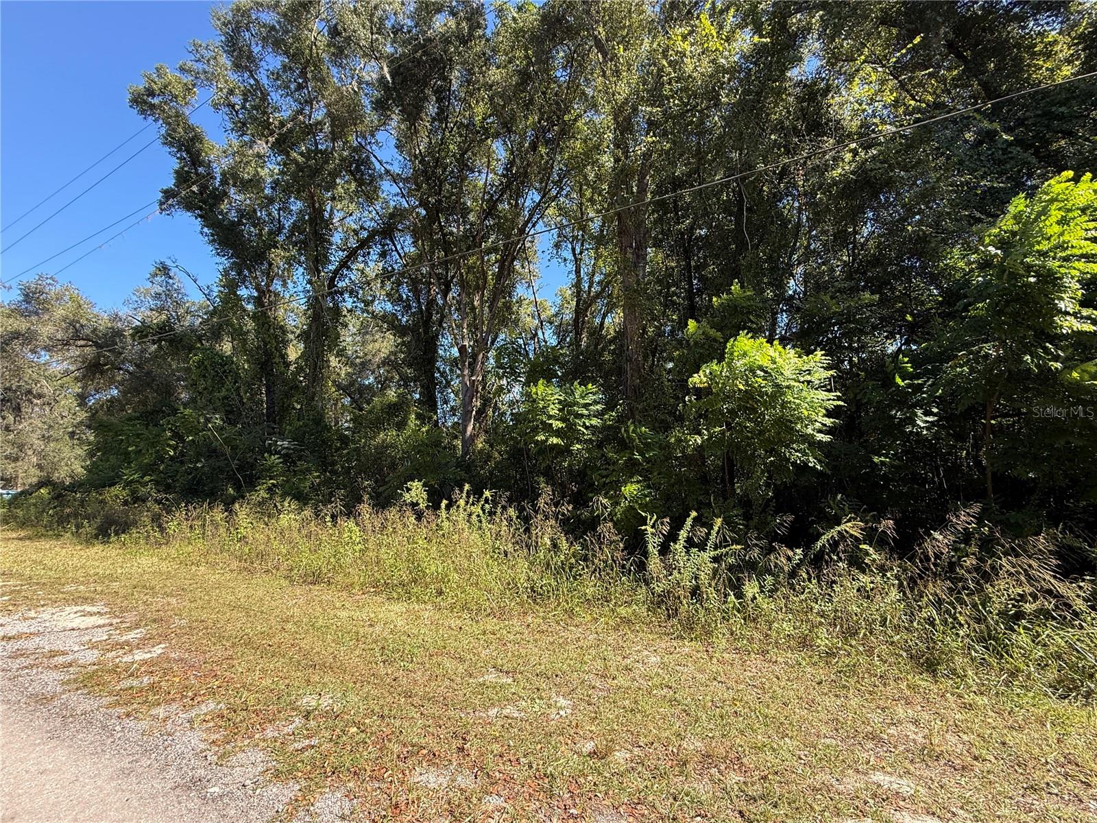 Image 10 of 17 For 759 Corbin Avenue