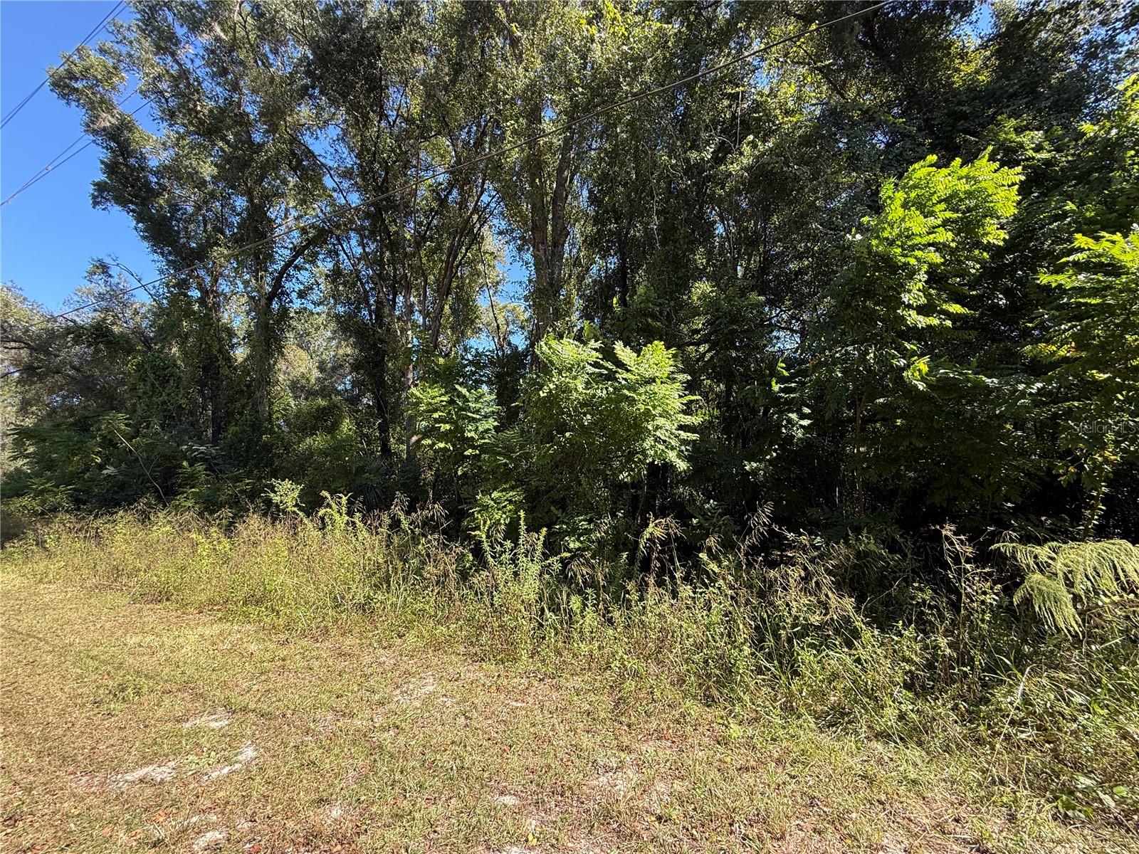 Image 11 of 17 For 759 Corbin Avenue