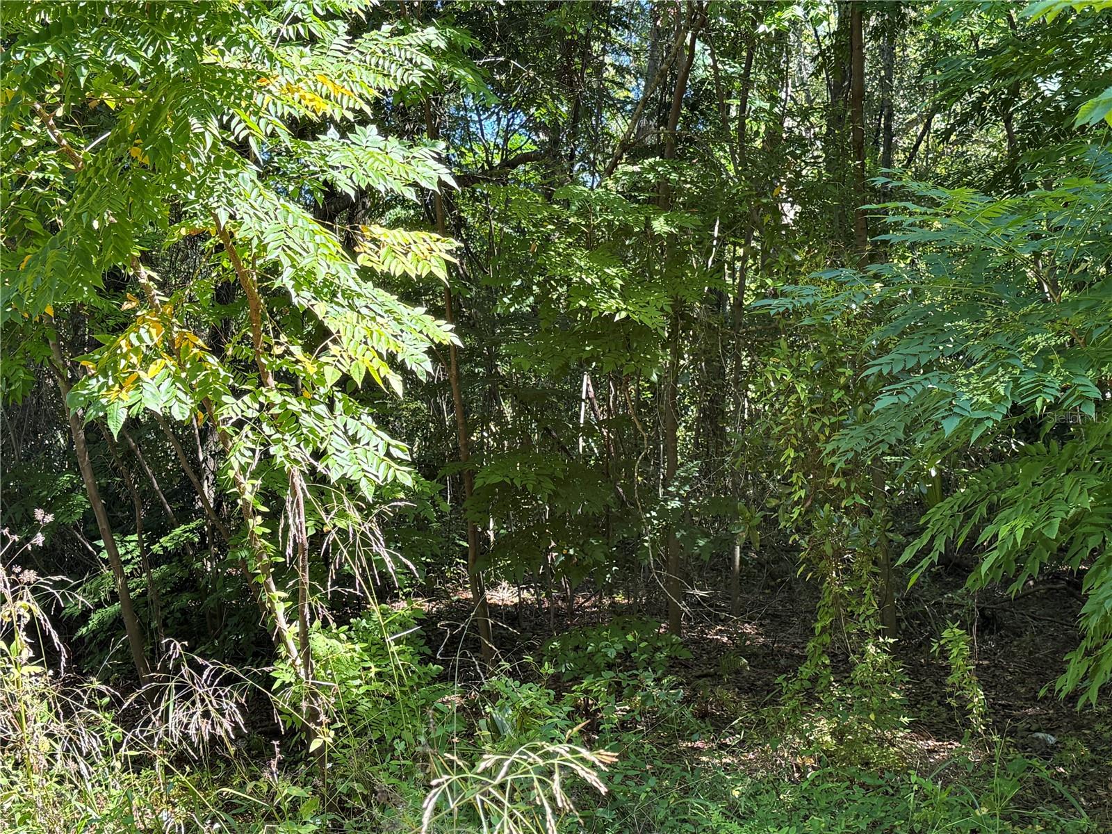 Image 13 of 17 For 759 Corbin Avenue