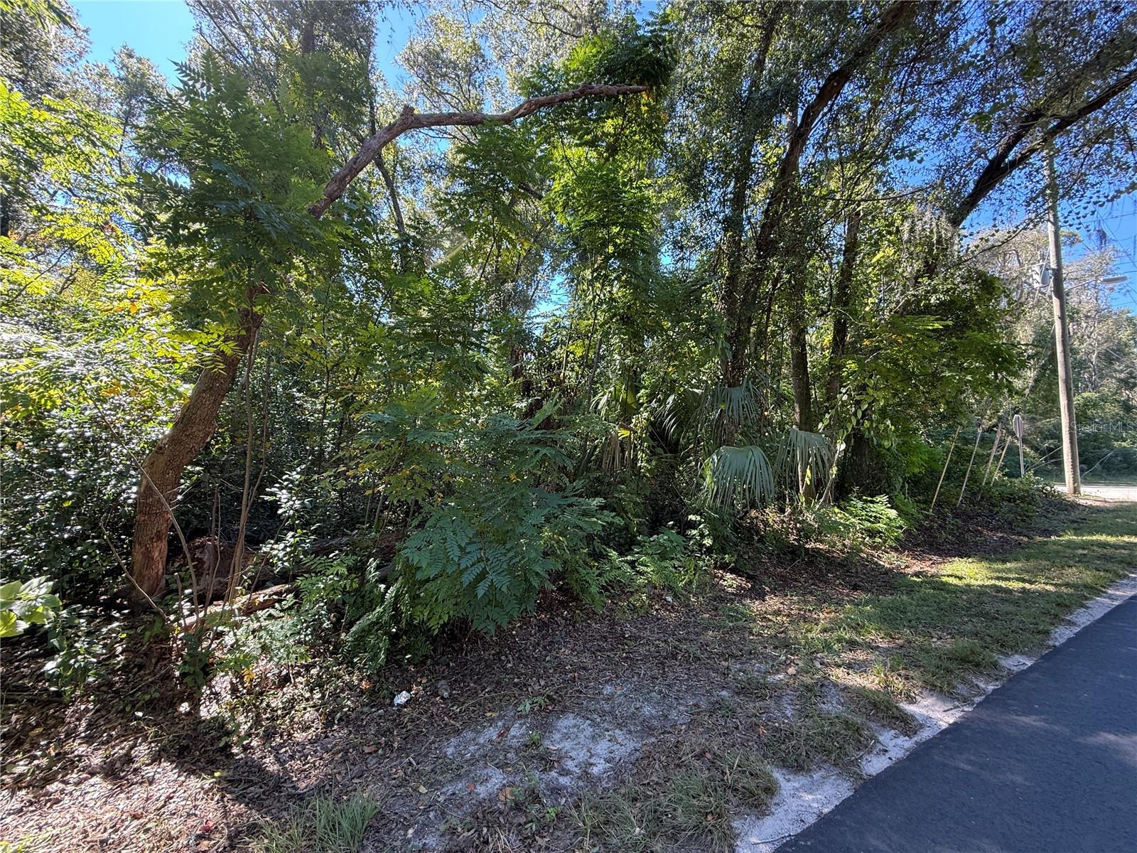 Image 6 of 17 For 759 Corbin Avenue