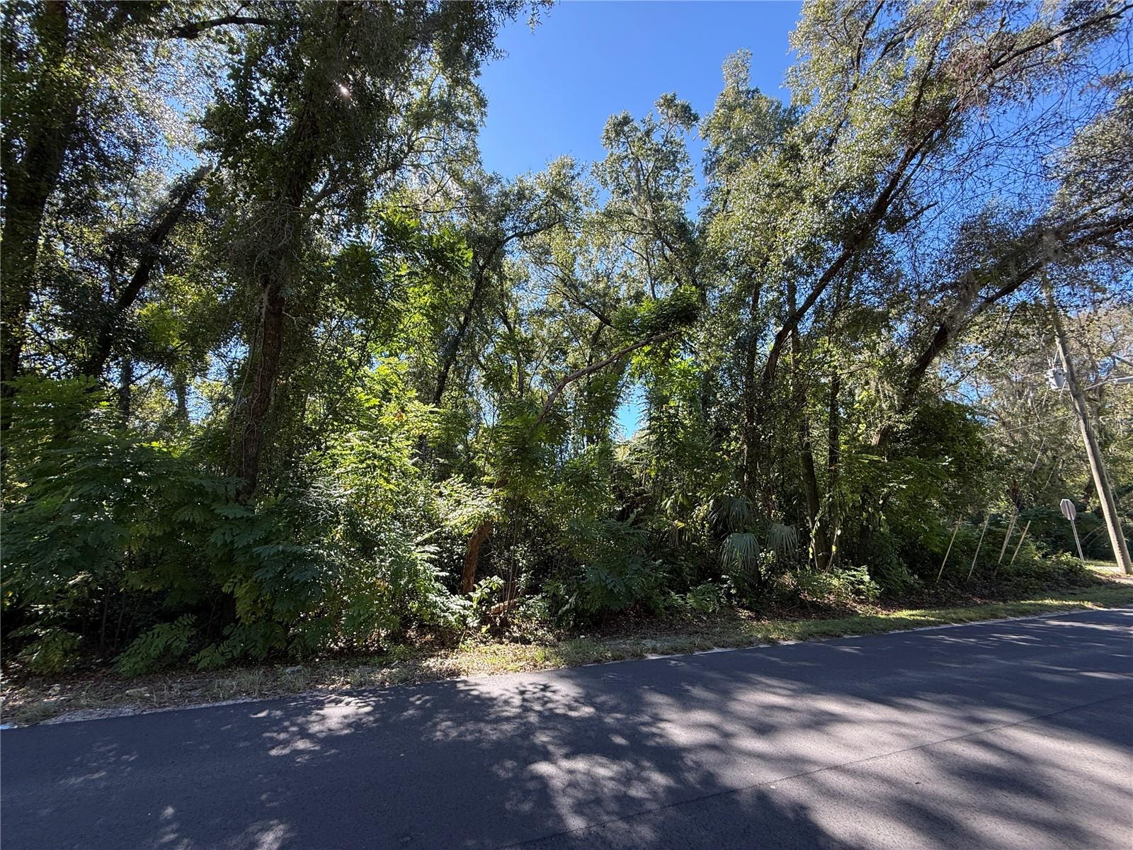 Image 7 of 17 For 759 Corbin Avenue