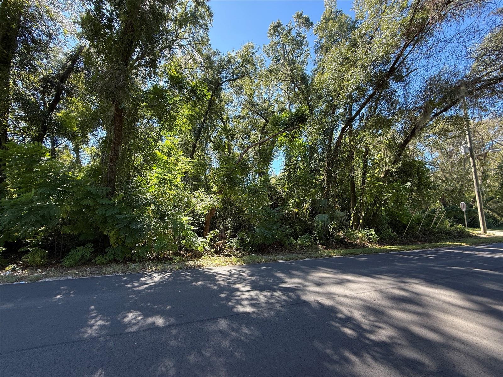 Image 8 of 17 For 759 Corbin Avenue