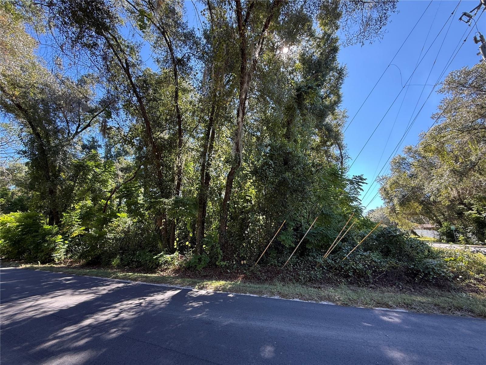 Image 9 of 17 For 759 Corbin Avenue