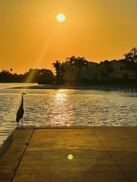 Image 54 of 81 For 5200 Brittany Drive S 204