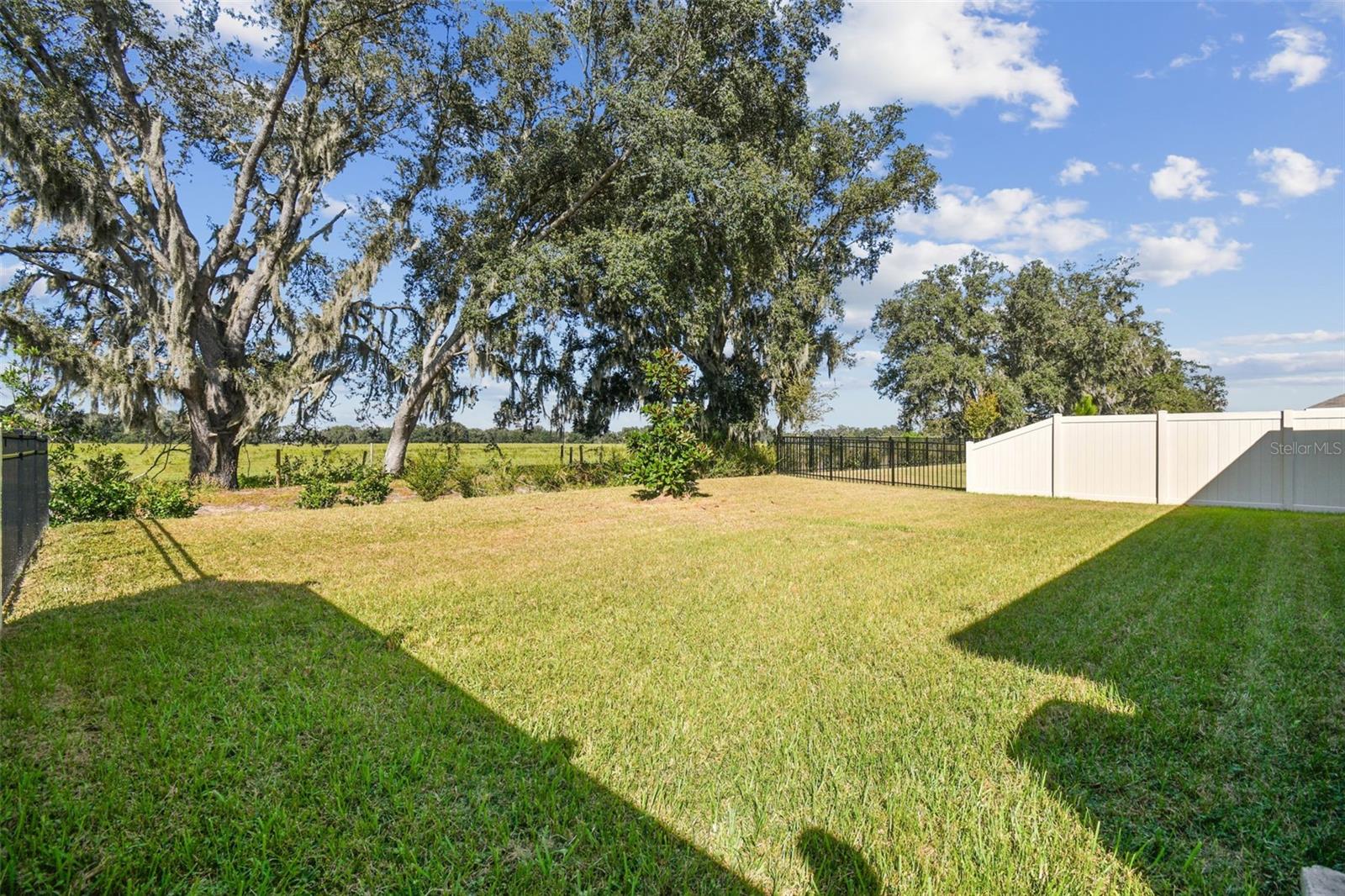 Image 32 of 37 For 33635 Field Maple Loop