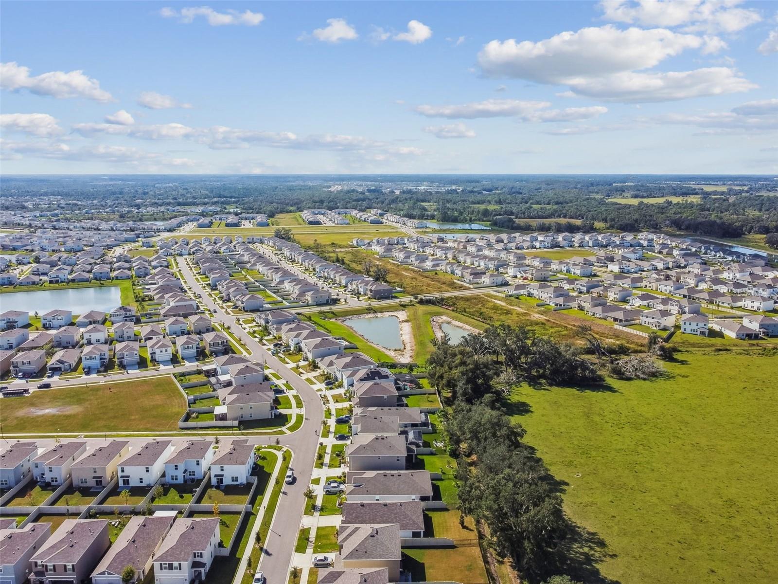 Image 34 of 37 For 33635 Field Maple Loop