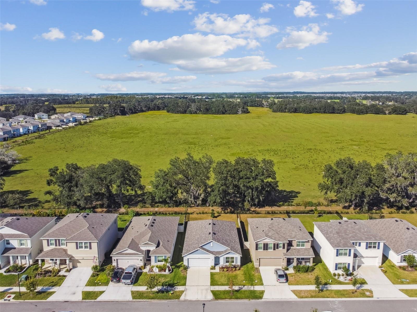 Image 36 of 37 For 33635 Field Maple Loop