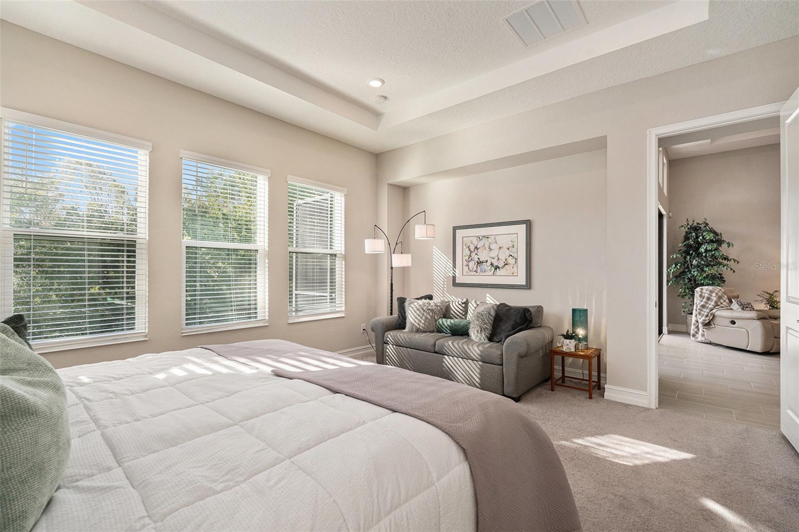 Image 19 of 46 For 4205 Barletta Court