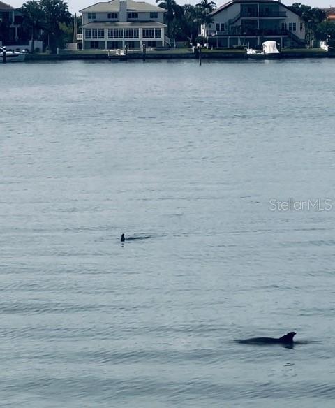 Image 53 of 81 For 5200 Brittany Drive S 204