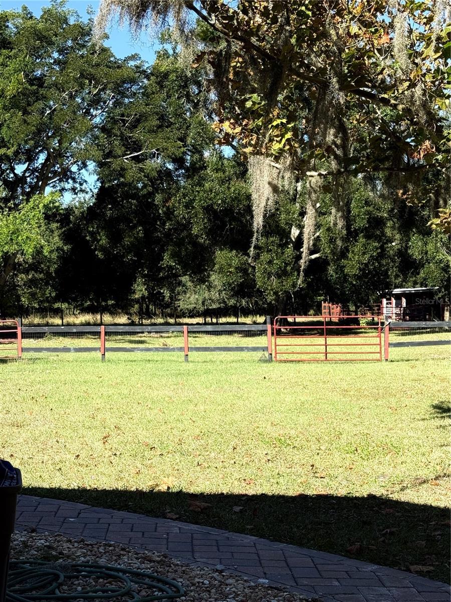 Image 20 of 25 For 6547 Lake Irene Drive