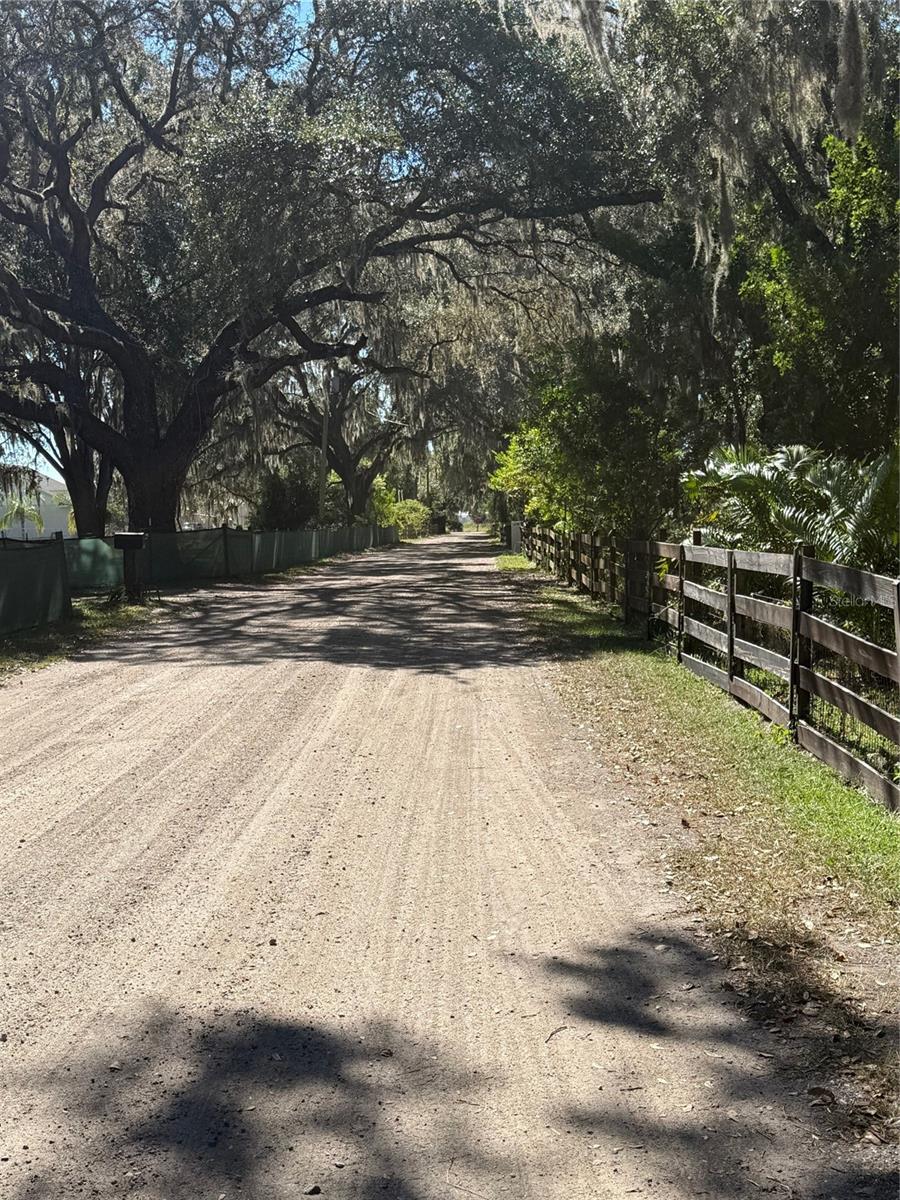 Image 3 of 25 For 6547 Lake Irene Drive