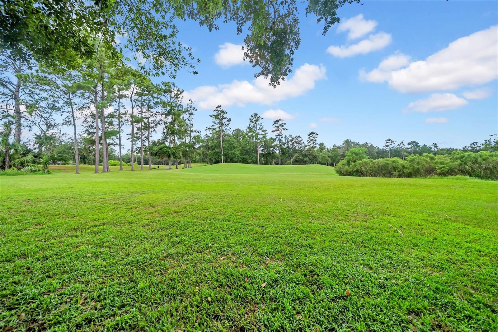 Image 60 of 77 For 4455 Gevalia Drive 1