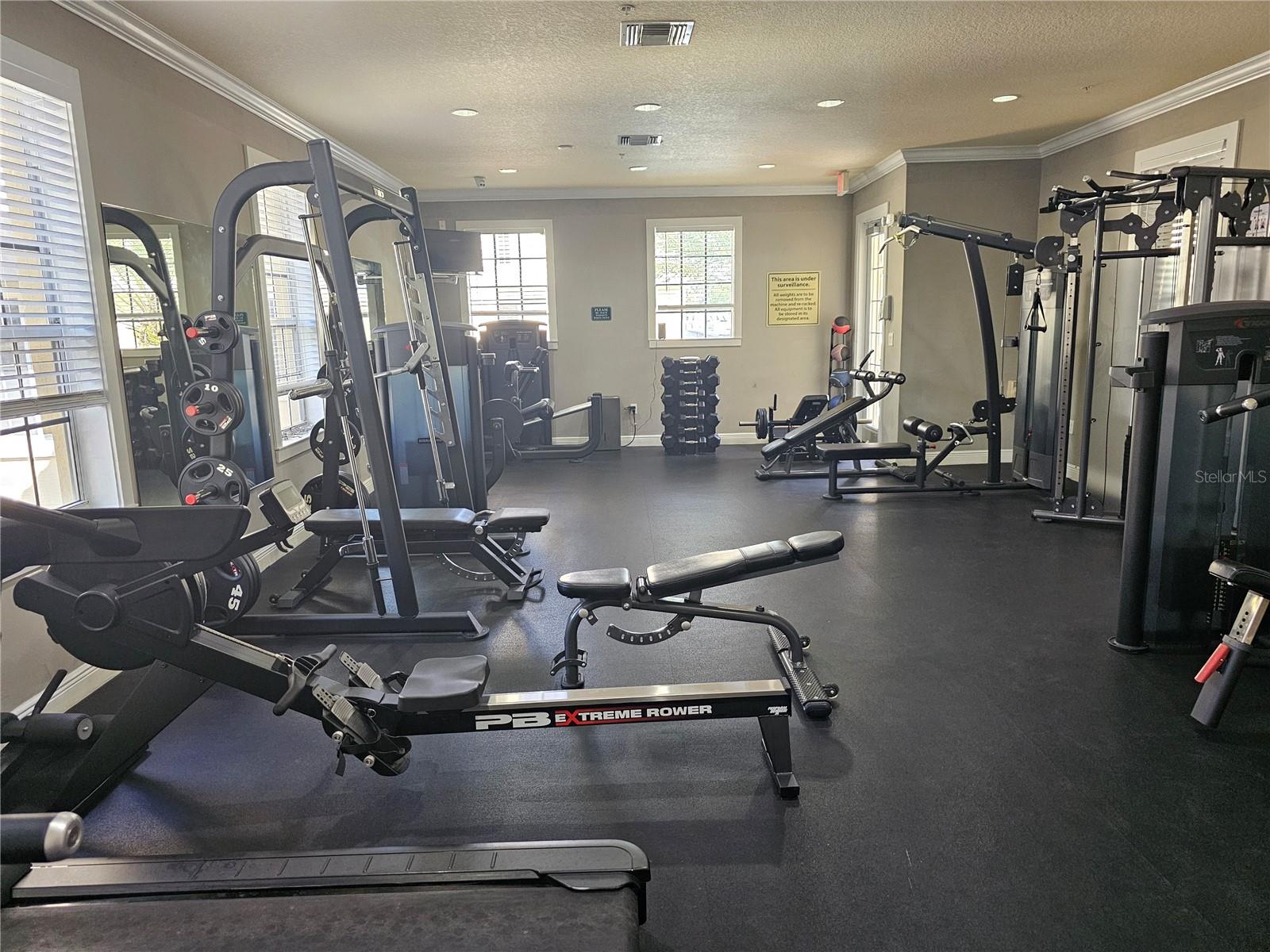 Image 15 of 42 For 118 Obrien Street 118