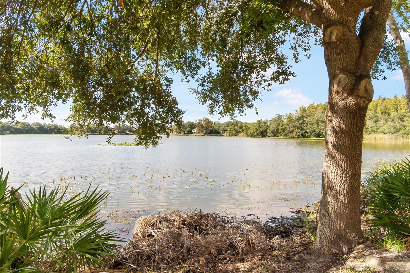 Image 22 of 26 For 8558 Sandy Beach Street