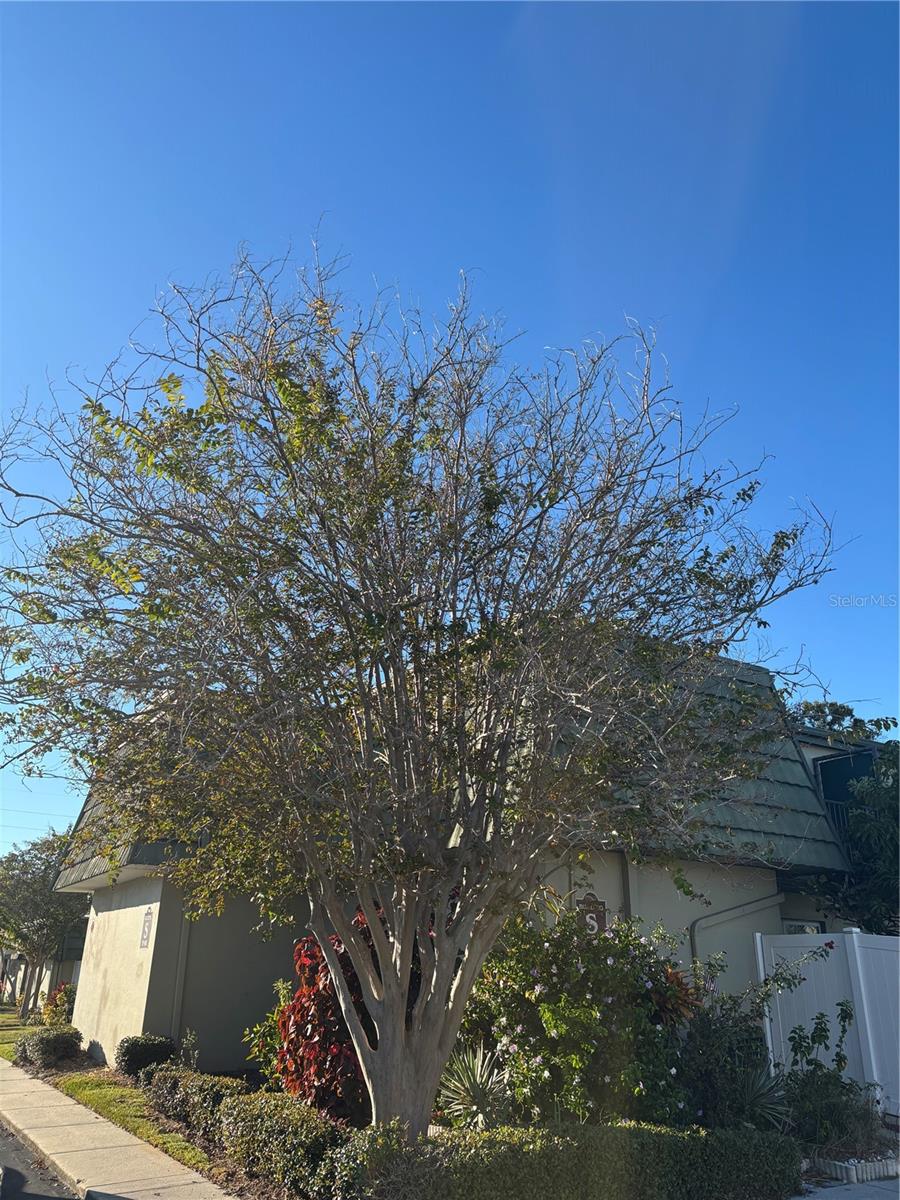 Image 21 of 21 For 1799 Highland Avenue 58