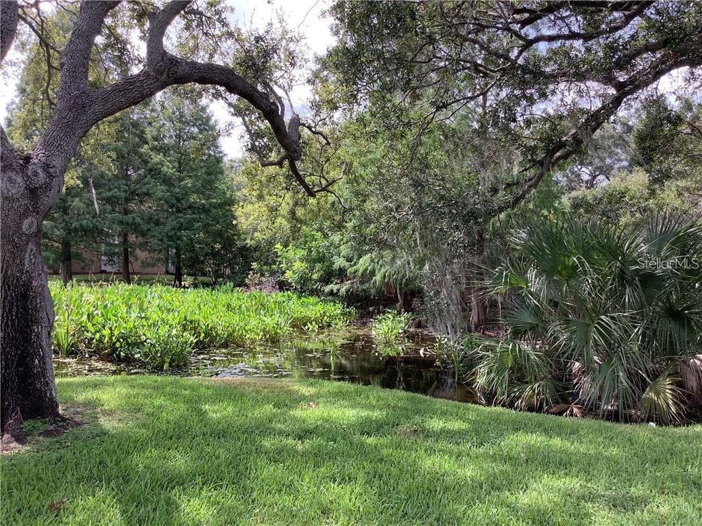 Image 36 of 45 For 10155 Sailwinds Boulevard S 101