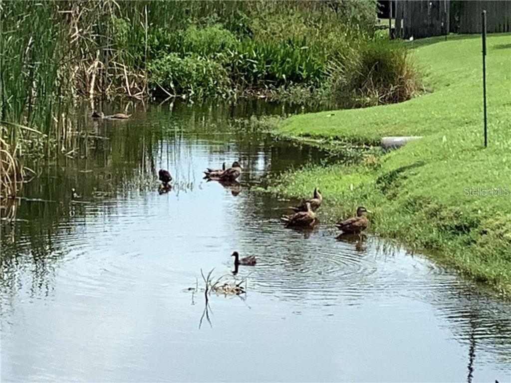 Image 42 of 45 For 10155 Sailwinds Boulevard S 101