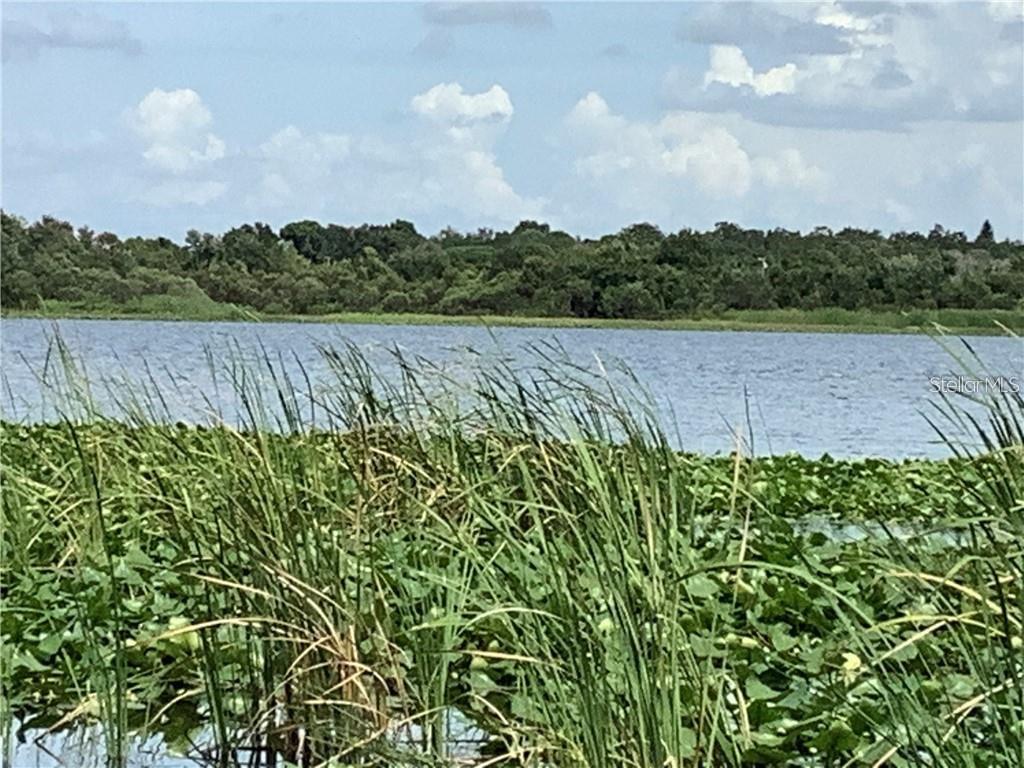 Image 43 of 45 For 10155 Sailwinds Boulevard S 101