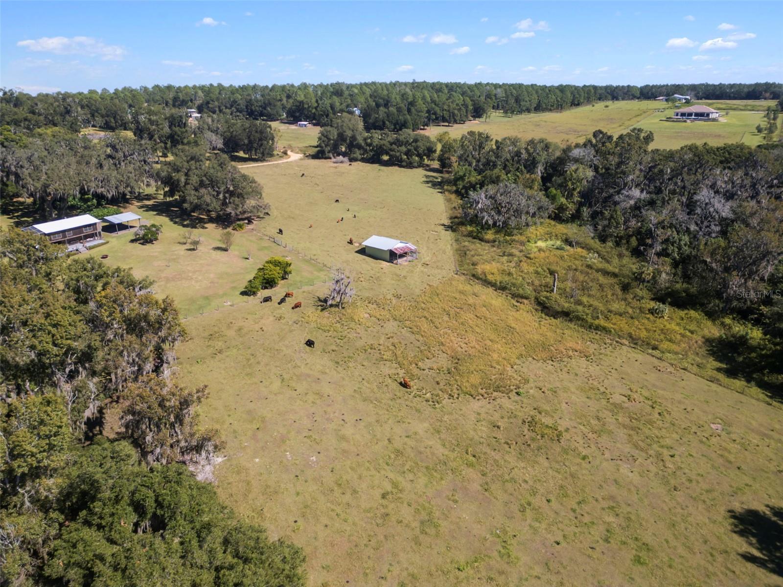 Listing photo id 9 for 32854 Lister Road