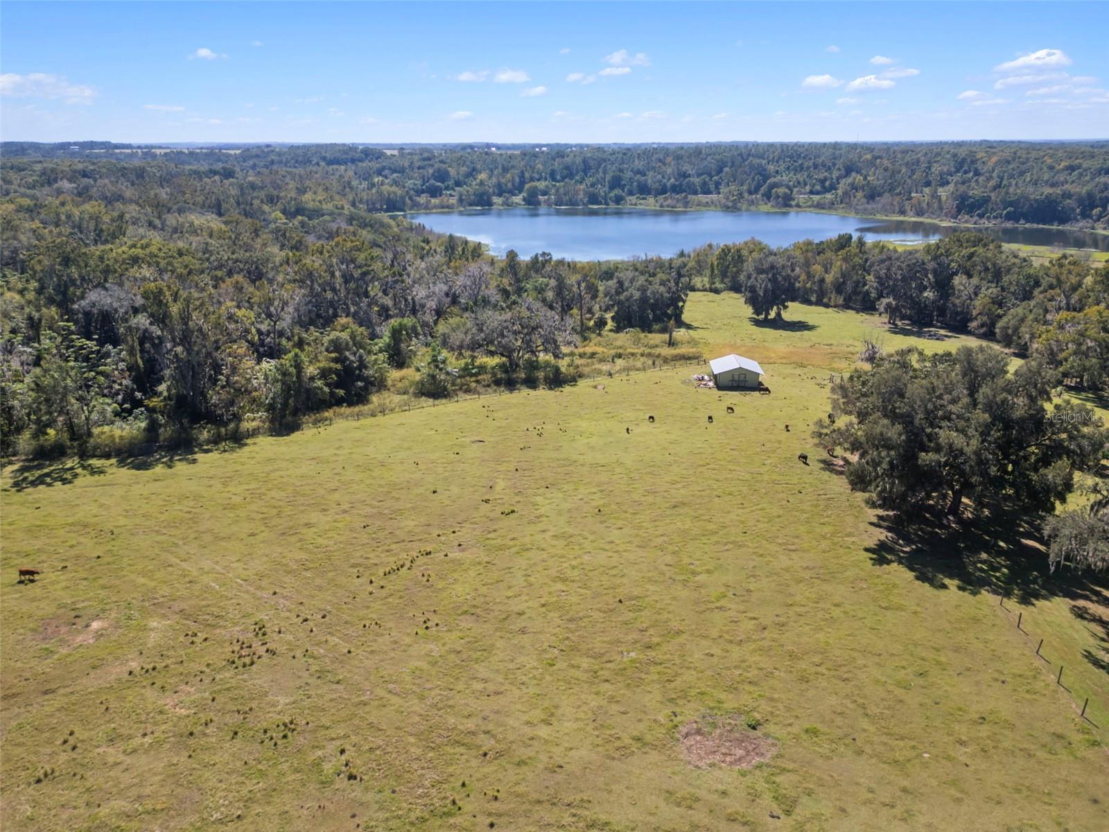 Listing photo id 12 for 32854 Lister Road