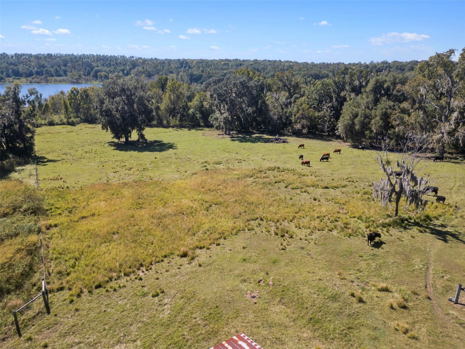 Listing photo id 27 for 32854 Lister Road