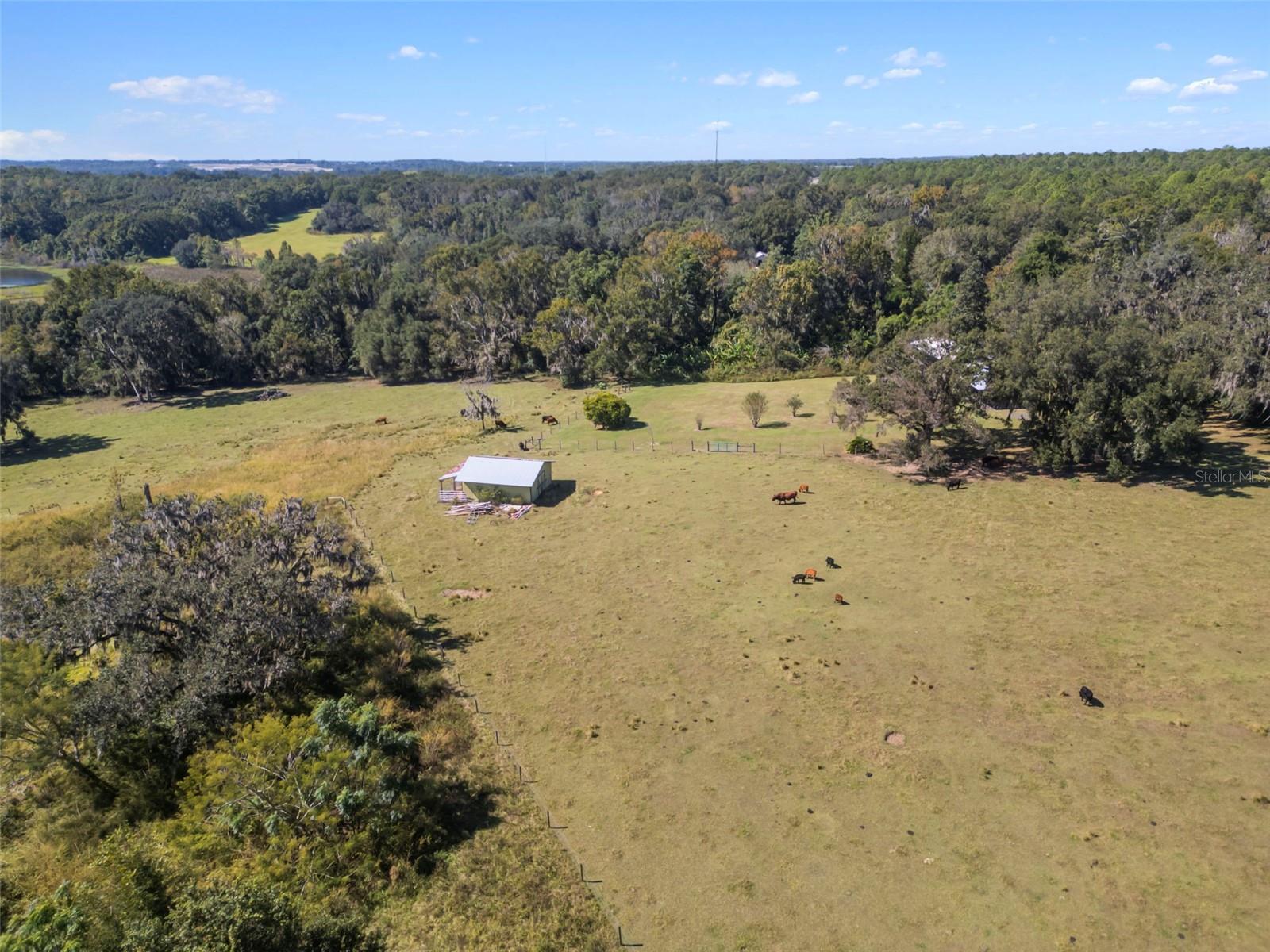 Listing photo id 1 for 32854 Lister Road