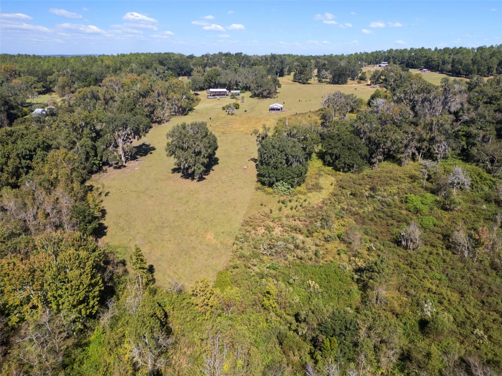 Listing photo id 5 for 32854 Lister Road