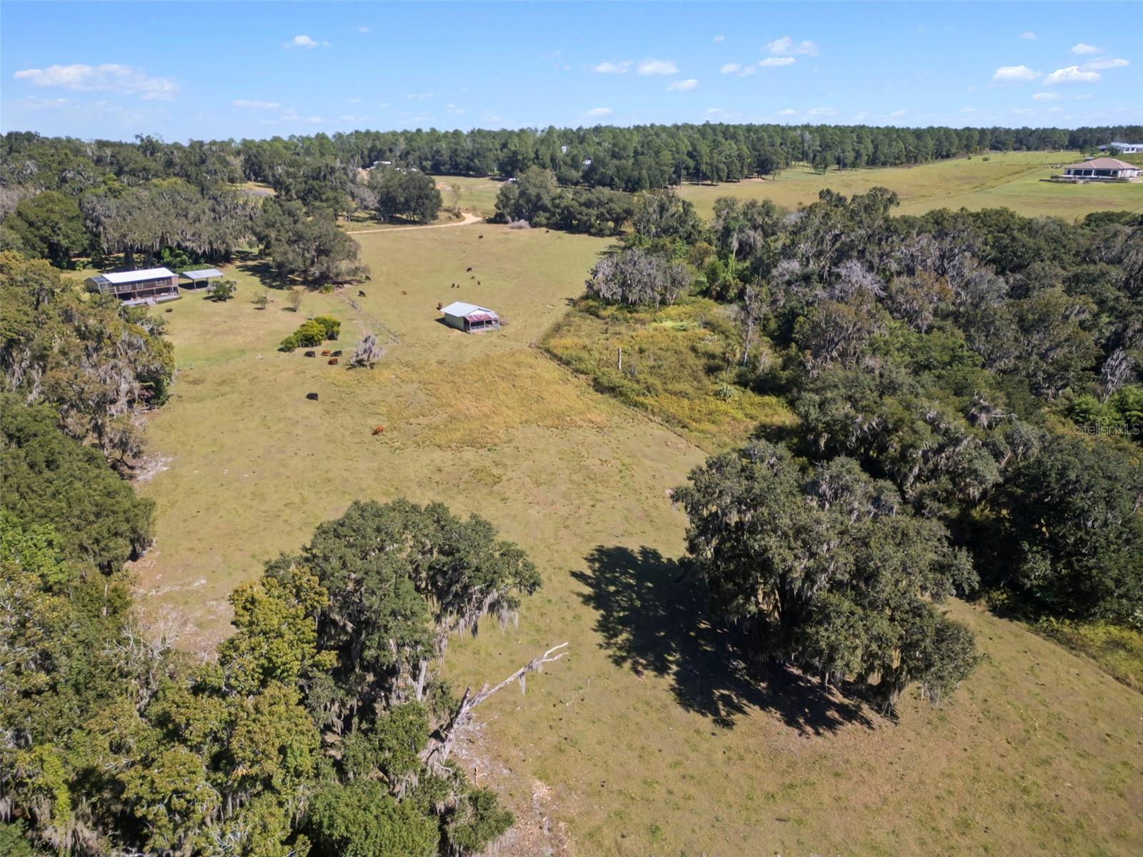 Listing photo id 6 for 32854 Lister Road