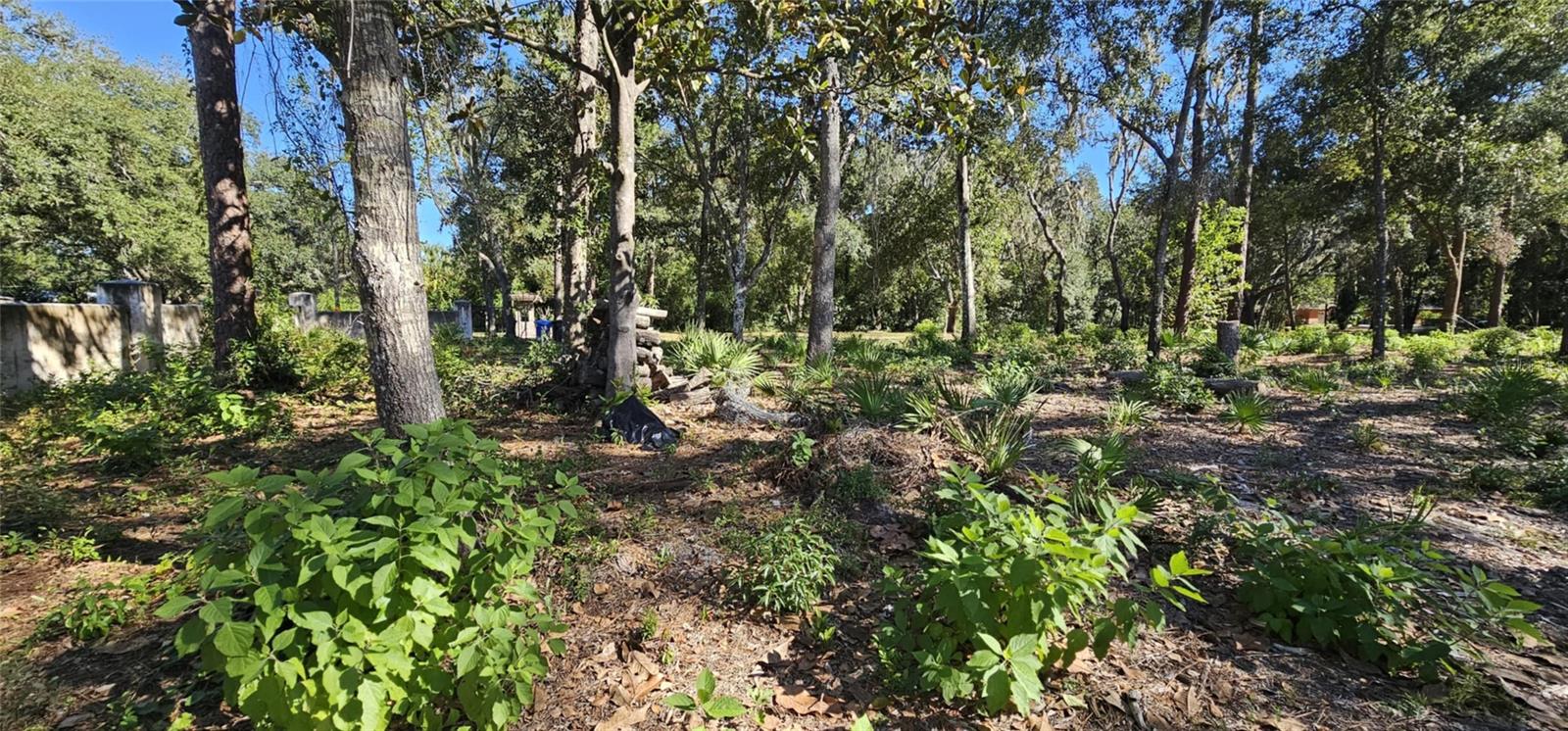 Image 4 of 18 For Piermaj Lane