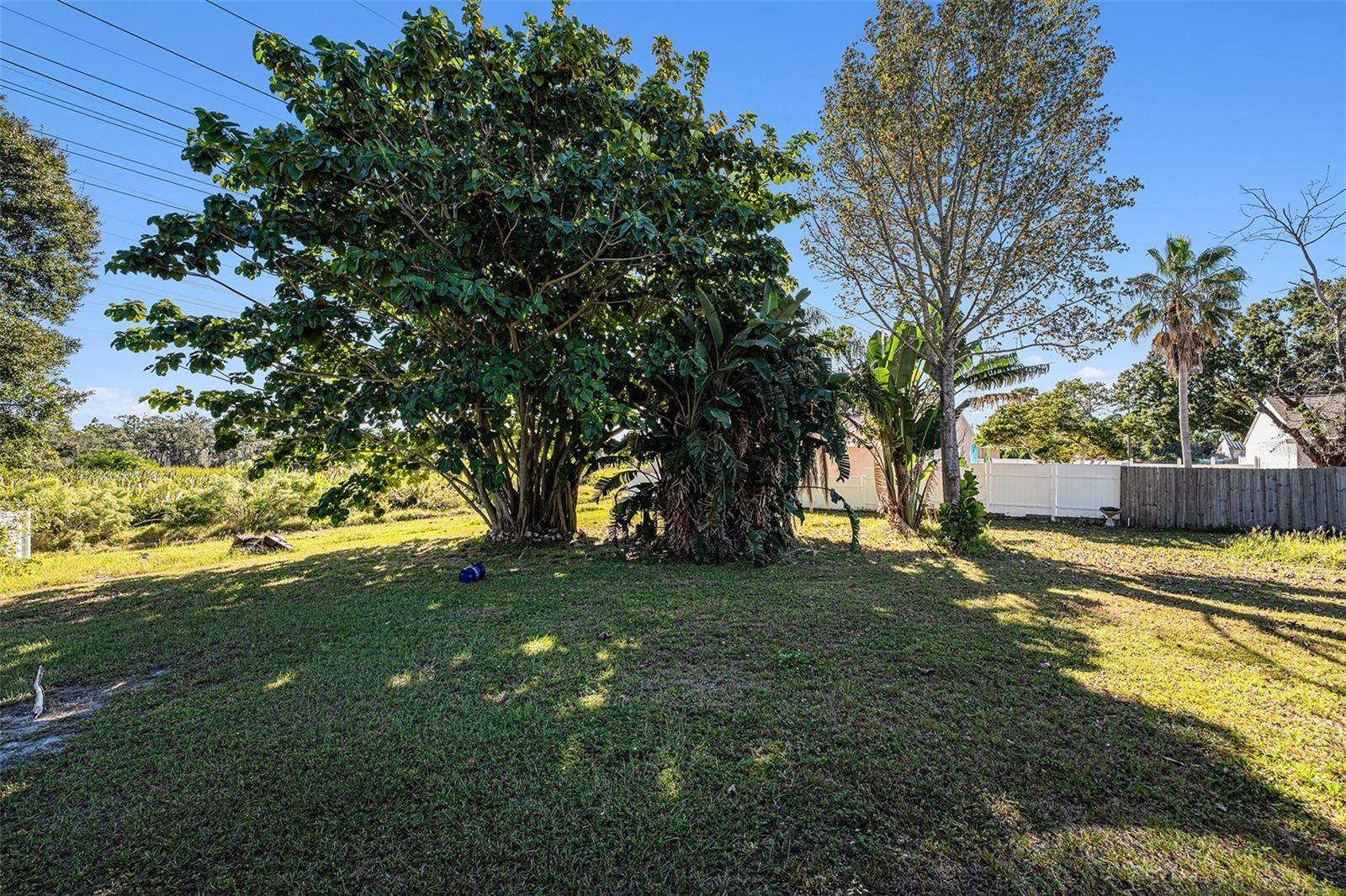 Image 29 of 29 For 645 Timber Bay Circle E