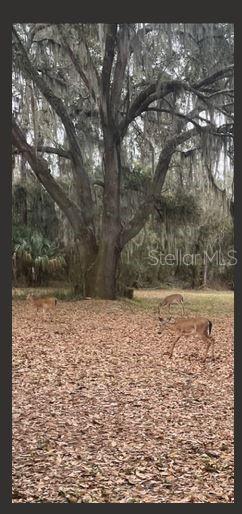 Image 56 of 56 For 2203 Hidden Pond Road