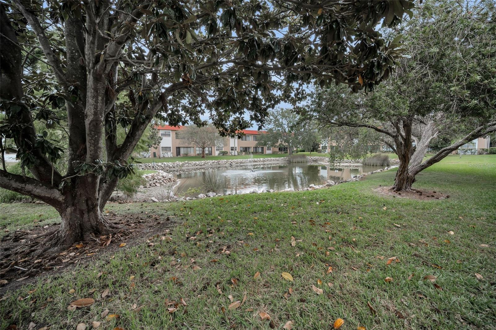 Listing photo id 12 for 1750 Belleair Forest Drive C12